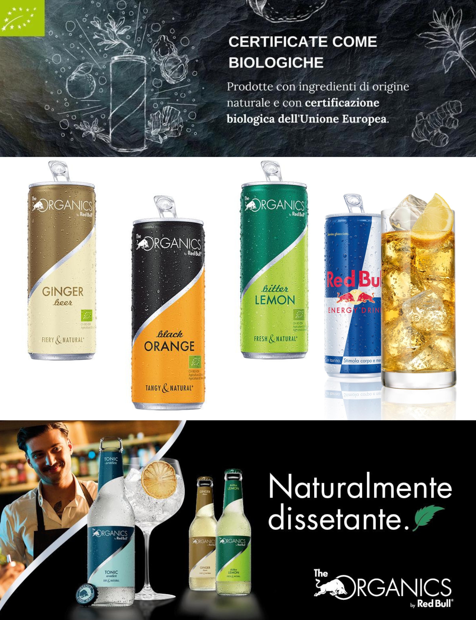 Per Red Bull, abbiamo curato ogni aspetto del digital marketing sui menù e cartellonistica in diverse attività sul territorio nazionale