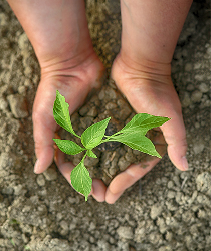 Uno shooting foto e video per esaltare l'uso delle spezie di Montosco nella mixology, così da scoprire nuovi sapori ed abbinamenti.