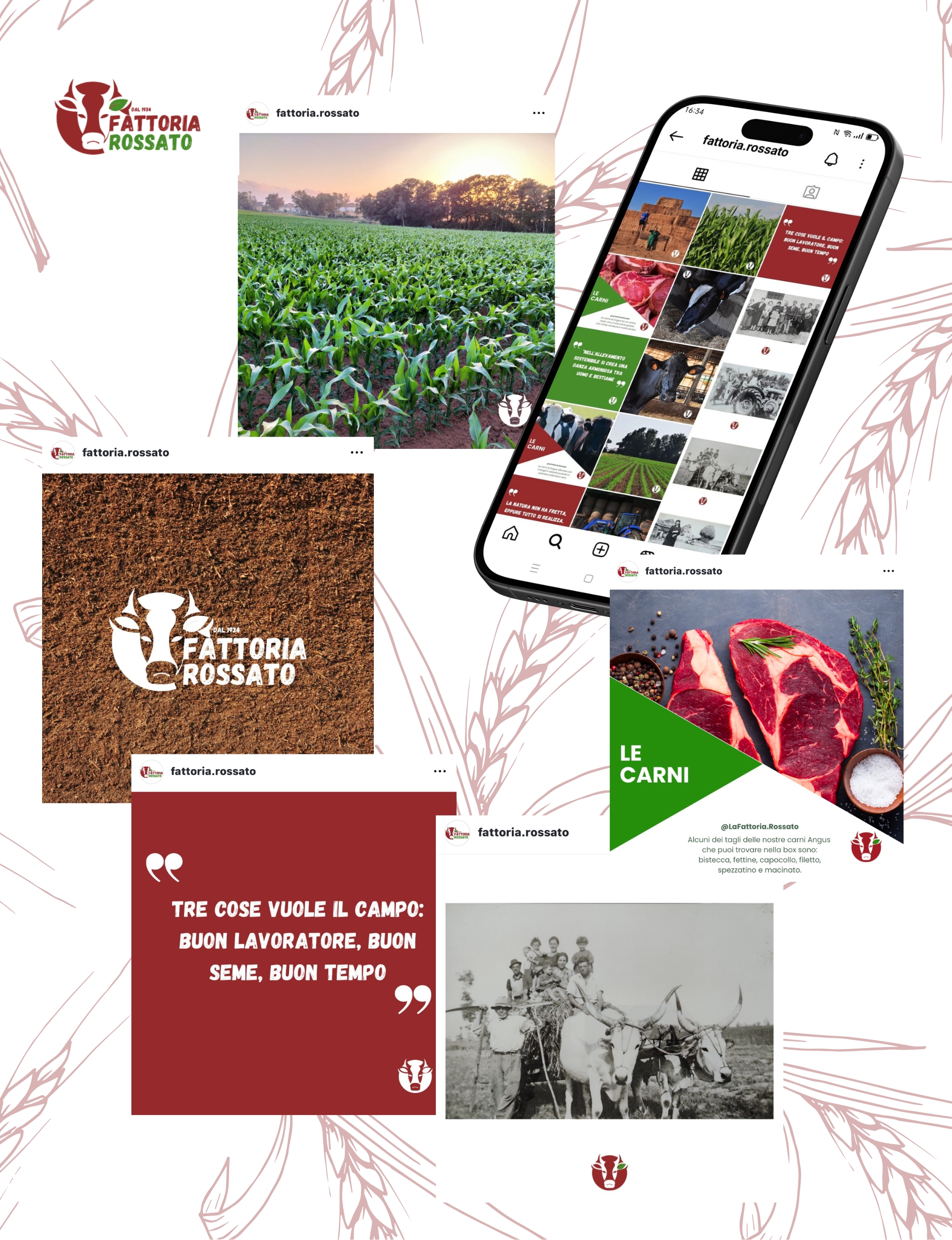 Abbiamo raccontato la passione e l'amore per il territorio grazie ad una gestione social attenta e studiata sul target del brand