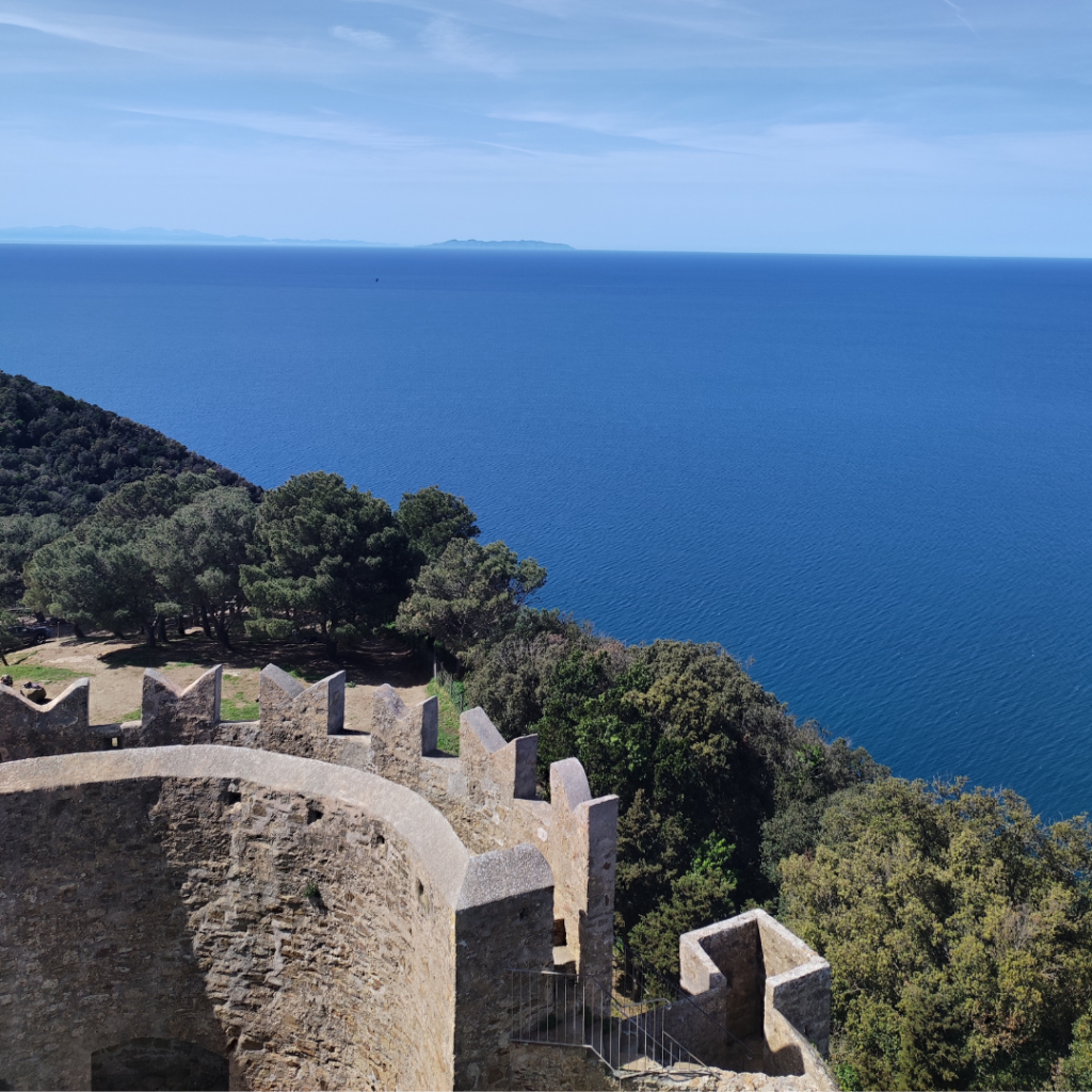 Raccontare tramite i social il territorio e la bontà dei piatti tipici de La Baracchina, è stata la nostra priorità.